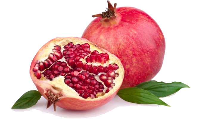 ザクロ植物油「punica granatum」