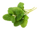 [BIO-/] BIO hidrolat melise