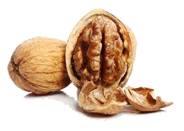 Muskot eterisk olja "myristica fragans"