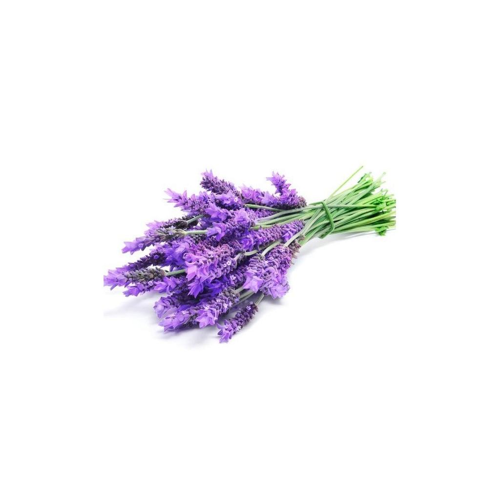 Етерично масло Lavandin Grosso "lavandula hybrida"