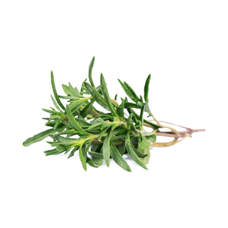 Oli Essencial de Farigola Blanca "thymus mastichina"