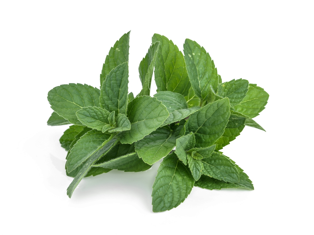 Eterično ulje paprene metvice "mentha arvensis"