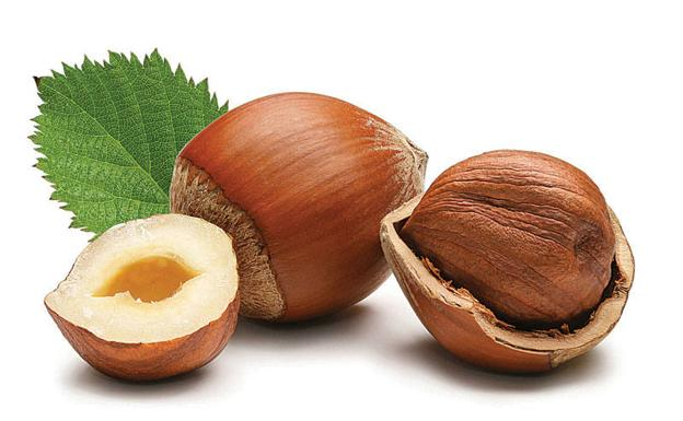Huile Végétale de Noisette "corylus avellana"