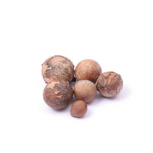Oli Vegetal Calofilo "Calophyllum inophyllum"