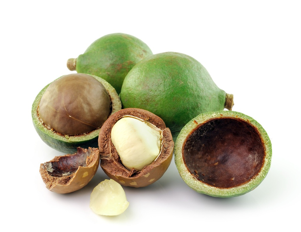 Растително масло от макадамия "macadamia ternifolia"