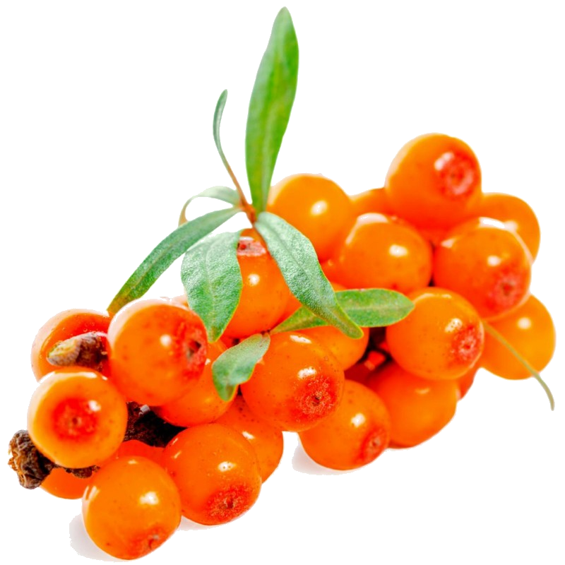Φυτικό Έλαιο Ιπποφαούς "hippophae rhamnoides"