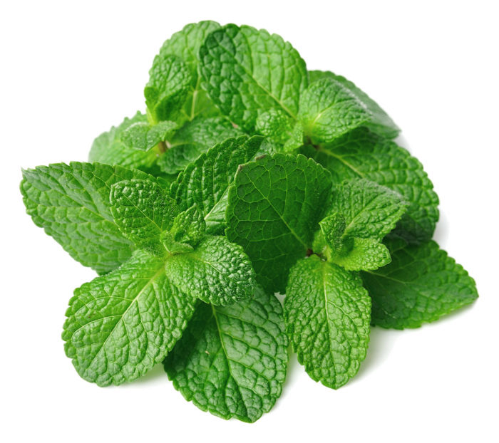 Ulei esențial de mentă „mentha piperita”