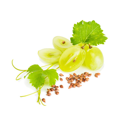 Ulei vegetal din samburi de struguri "vitis vinifera"
