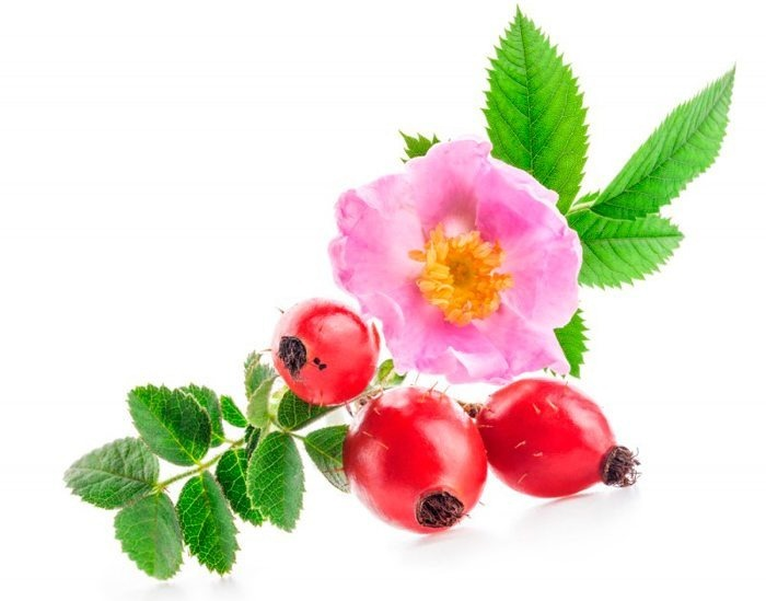 Rozenbottel Plantaardige Olie "rosa canina"