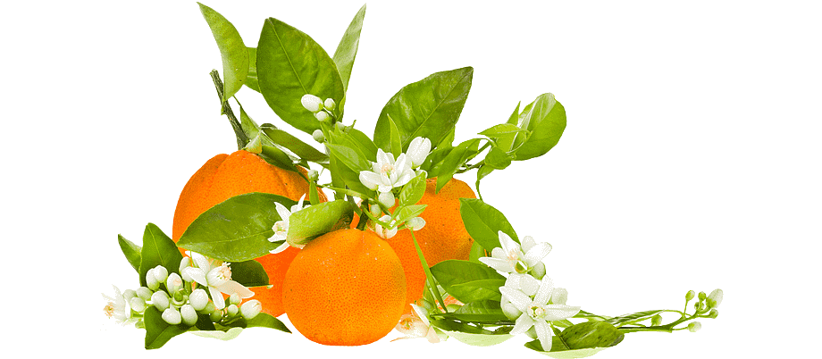 Petitgrain Bigarade esszenciális olaj "citrus aurantium"