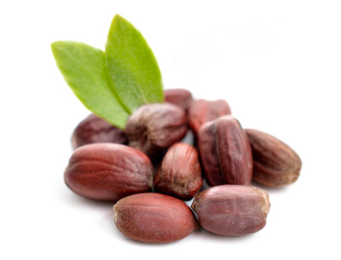 Huile Végétale de Jojoba "Simmondsia chinensis"