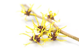 [BIO-/] BIO Hamamelis hidrolatoa