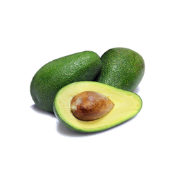 Avocado-Pflanzenöl „persea gratissima“