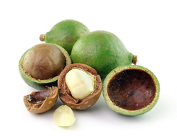 [FPR] Aceite Vegetal Macadamia &quot;macadamia  ternifolia&quot;