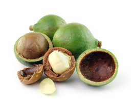 Ulei vegetal de macadamia "macadamia ternifolia"
