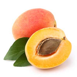 Abricot "prunus armeniaca" landare-olioa