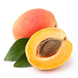Apricot Seed Vegetable Oil (Prunus armeniaca)