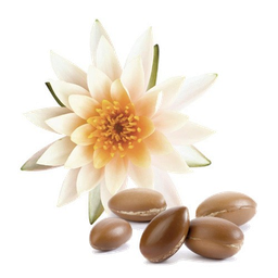 Ulei vegetal de argan "argania spinosa"