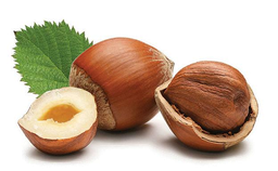 Lazdu riekstu augu eļļa "Corylus avellana"