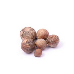 Calophyllum Vegetable Oil "Calophyllum inophyllum"