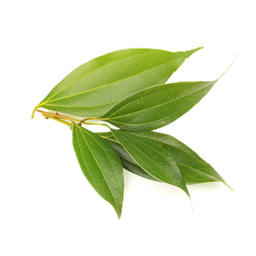Αιθέριο Έλαιο Φύλλων Κανέλας "cinnamomum zeylanicum"