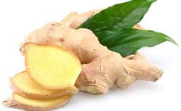 Ginger Essential Oil "zingiber officinale"