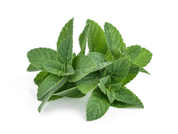 Pepermunt etherische olie "mentha arvensis"