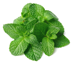 Pepermunt etherische olie "mentha piperita"