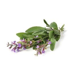 [SLBIO] Aceite Esencial de Salvia España &quot;salvia lavandulifolia&quot;