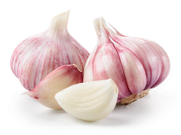 [CON] Garlic Essential Oil &quot;allium sativum&quot;