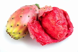 "Opuntia ficus indica" landare-olioa