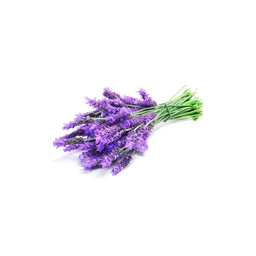 Lavandin Grosso etherische olie "lavandula hybrida"