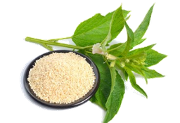 Olio Vegetale di Sesamo "sesamum indicum"
