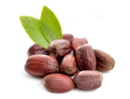 Oli Vegetal de Jojoba "Simmondsia chinensis"